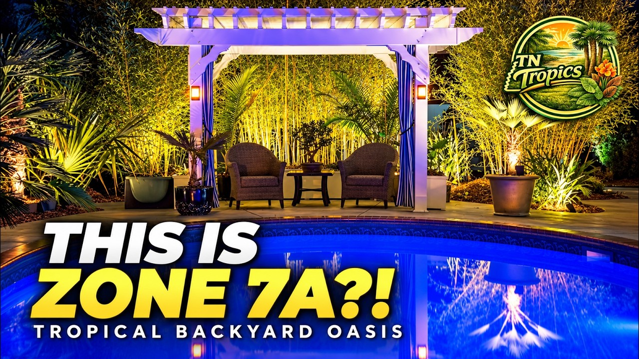 Tropical Backyard Oasis in zone 7A