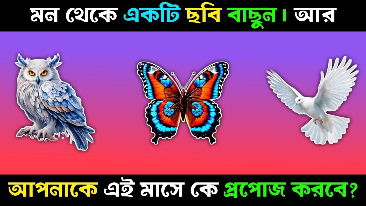 মন থেকে একটি ছবি বাছুন আর জানুন আপনাকে এই মাসে কে কে প্রপোজ করবে | apni kemon manush | Amar Brain