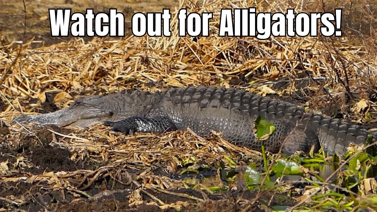 Danger Lurking At Deer Prairie Creek Preserve