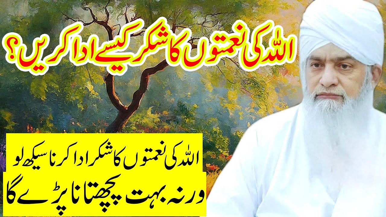 Allah ka Shukar Kaise Ada Kare? By Peer Zulfiqar Ahmad Naqshbandi | پیر ذوالفقار احمد نقشبندی