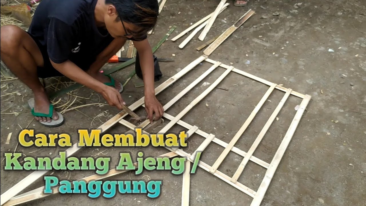 Cara Membuat Kandang Ajeng (Persiapan Menuju Kontes Ayam Pelung Kabupaten Tegal)