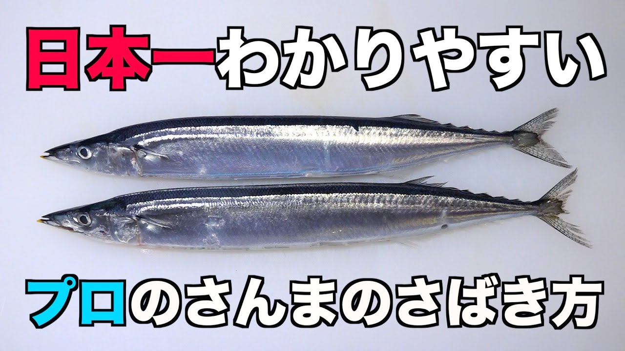 誰でも簡単わかりやすい【秋刀魚さんま】さばき方