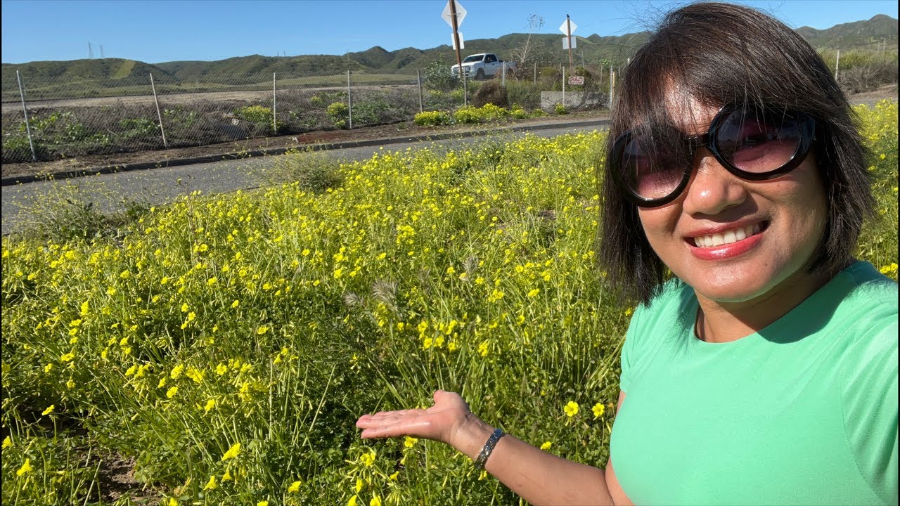 San Diego go go go. Tham quan Tàu Midway 41 giúp hàng vạn người Việt đến Mỹ 
