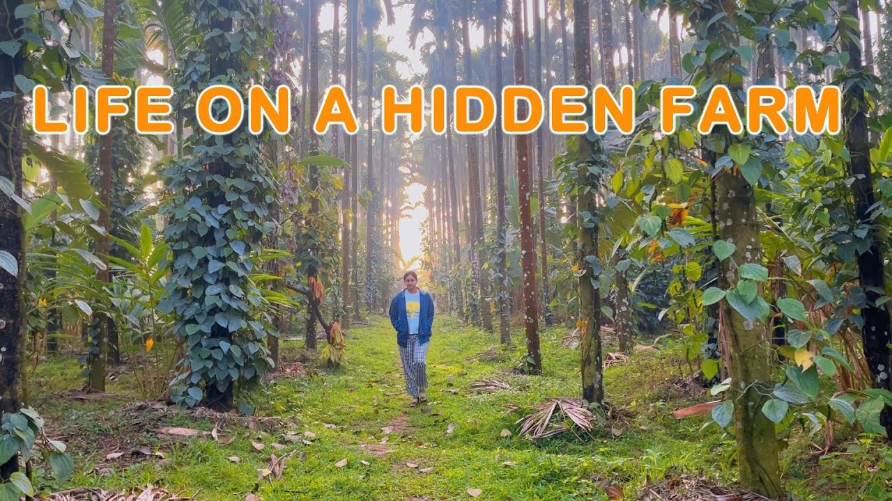 Life on a hidden farm