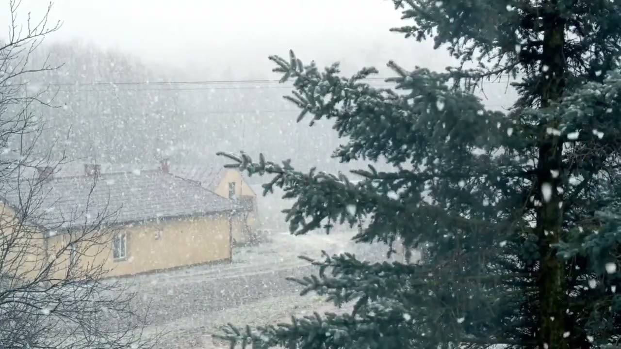 ❄️ Peaceful Day Snow Falling | Cozy Winter Ambience for Study,  Relaxation & Stress Relief 