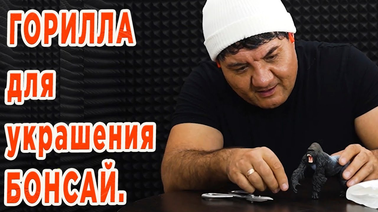 Горилла как украшения Бонсай.