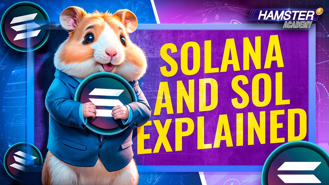 Как работает Solana: Руководство для начинающих 🚀⚡️ Hamster Academy