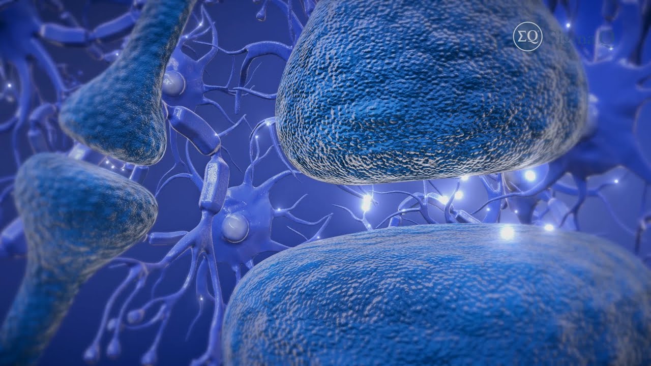 Electrical muscle stimulation|sample use only