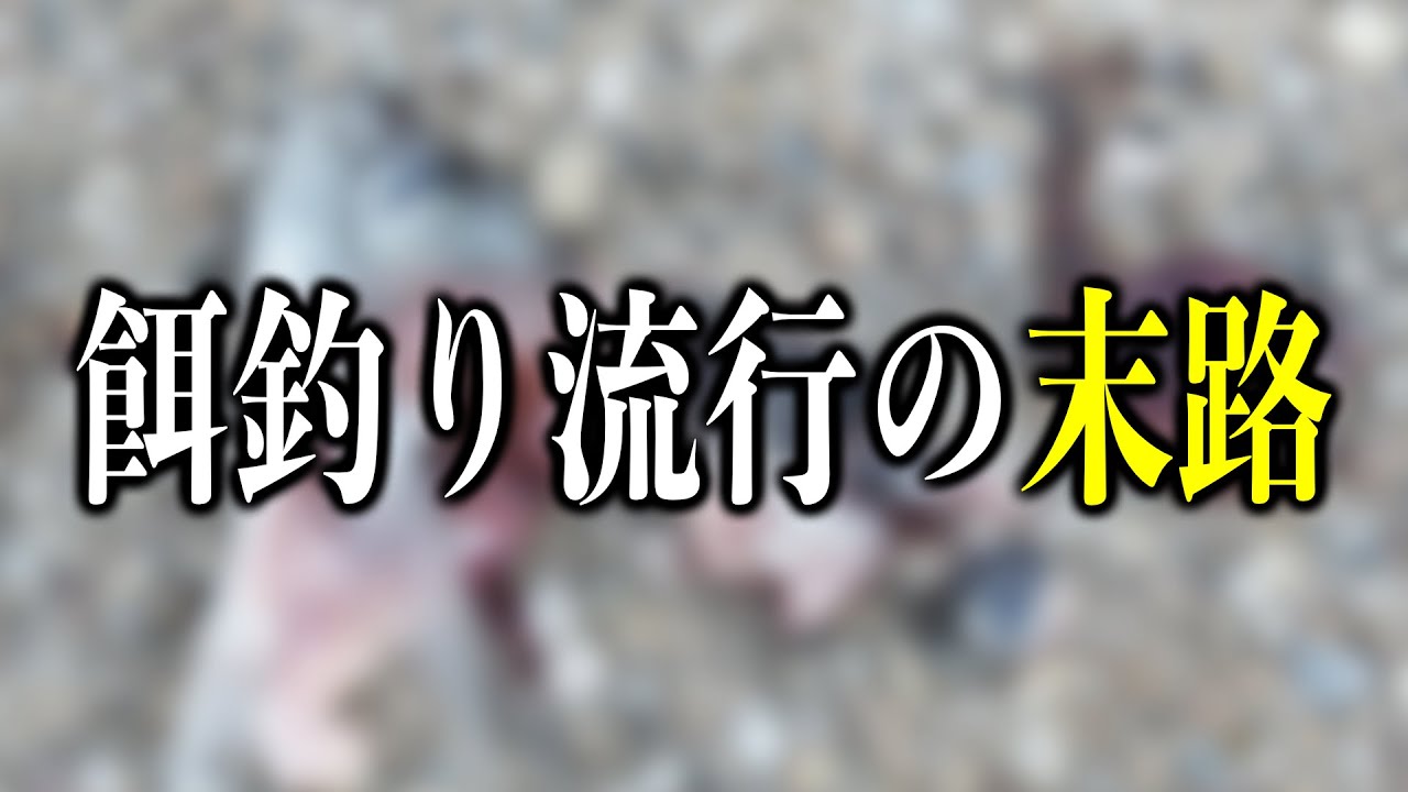 【閲覧注意】エサ釣りが大流行しても100%問題無い理由