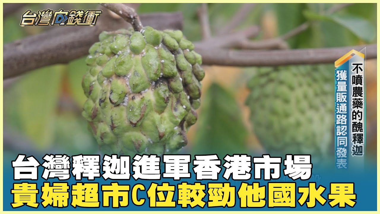 台灣釋迦進軍香港市場 貴婦超市C位較勁他國水果 20250301【台灣向錢衝】PART3