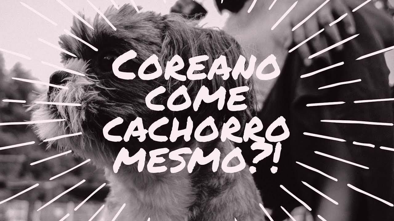 COREANO COME CACHORRO?