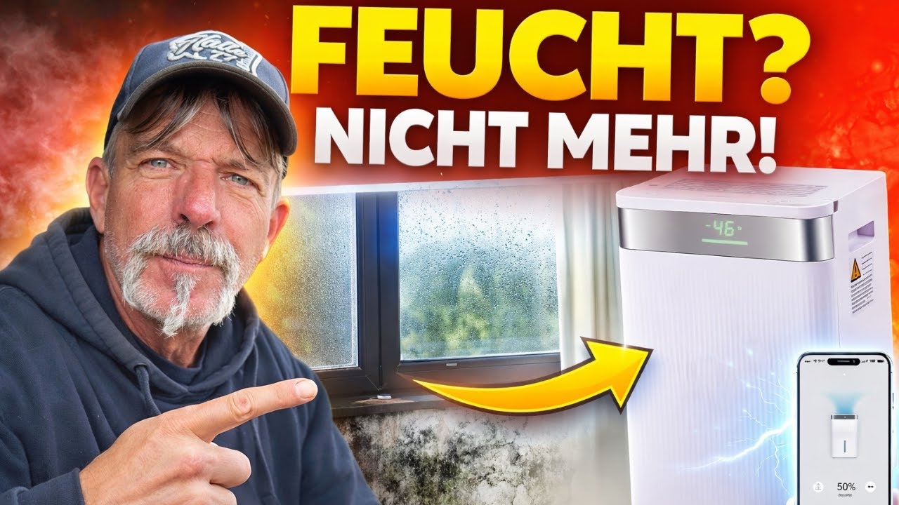 Raum zu feucht? BlitzHome Luftentfeuchter Review & Erfahrung