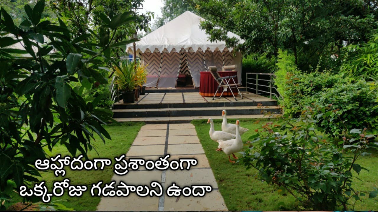 Farmhouse in Hyderabad #Tamarind Trees Farm house