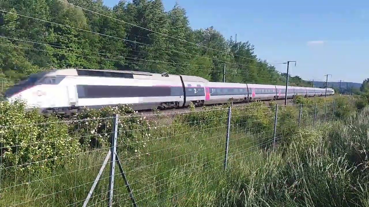 Spot sur la LGV Nord (TGV, OUIGO, Eurostar)
