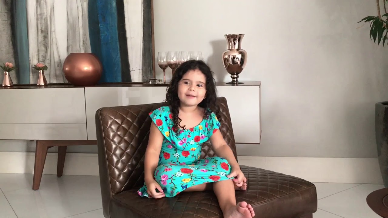 Apresenta&ccedil;&atilde;o do canal da Liz
