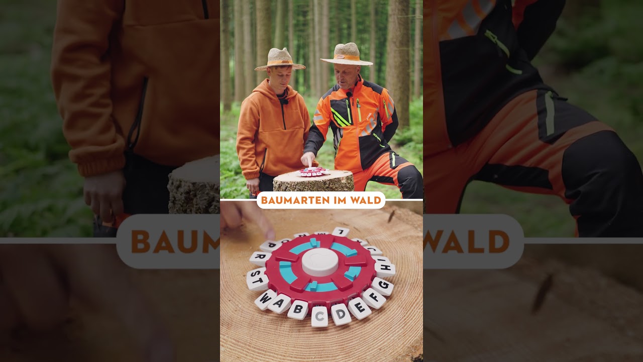 STIHL Buchstabenspiel: Baumarten