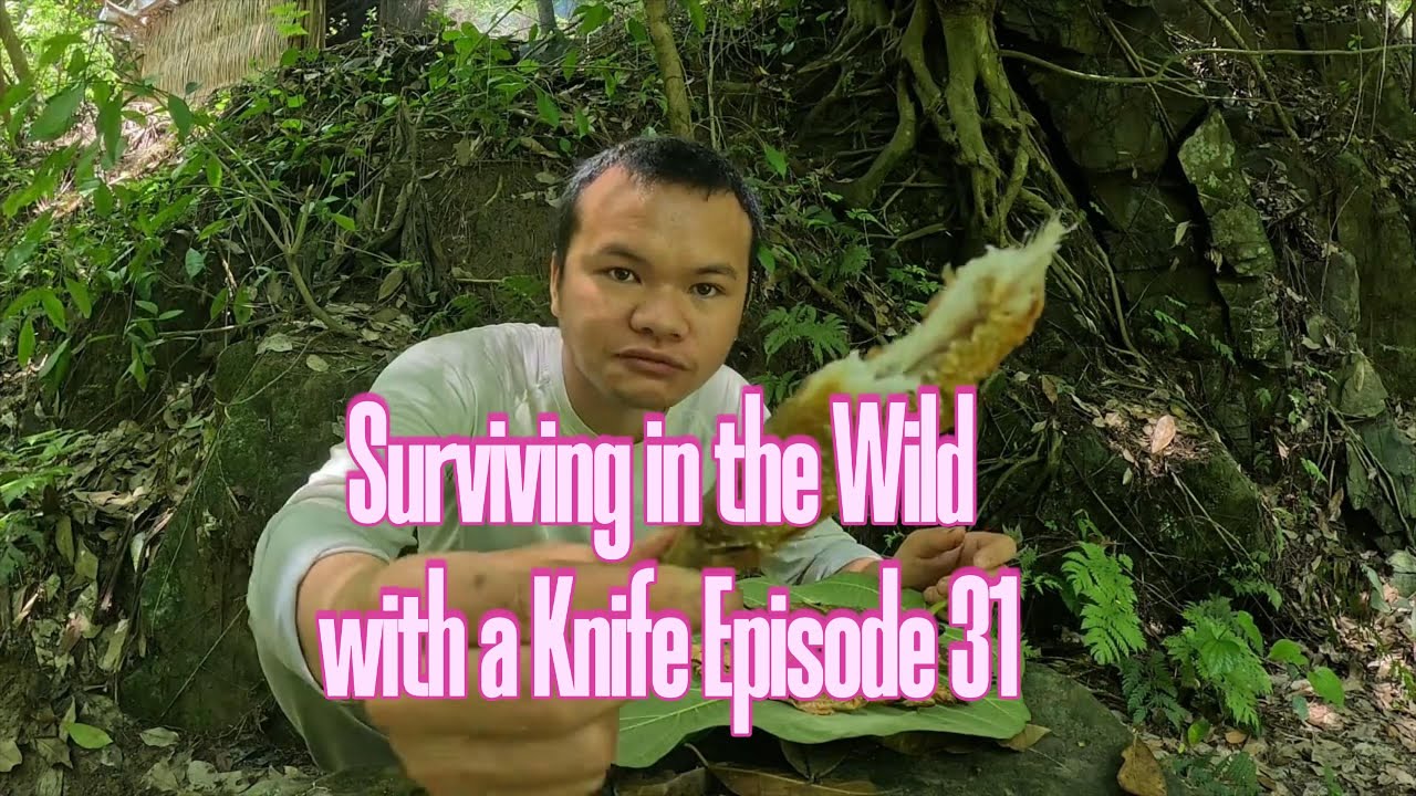 Surviving in the Wild with Only a Knife | Episode 31:Drying Fish Gone Wrong Turned into Grilled Fish