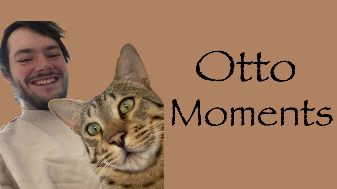 Otto Moments || James Marriott