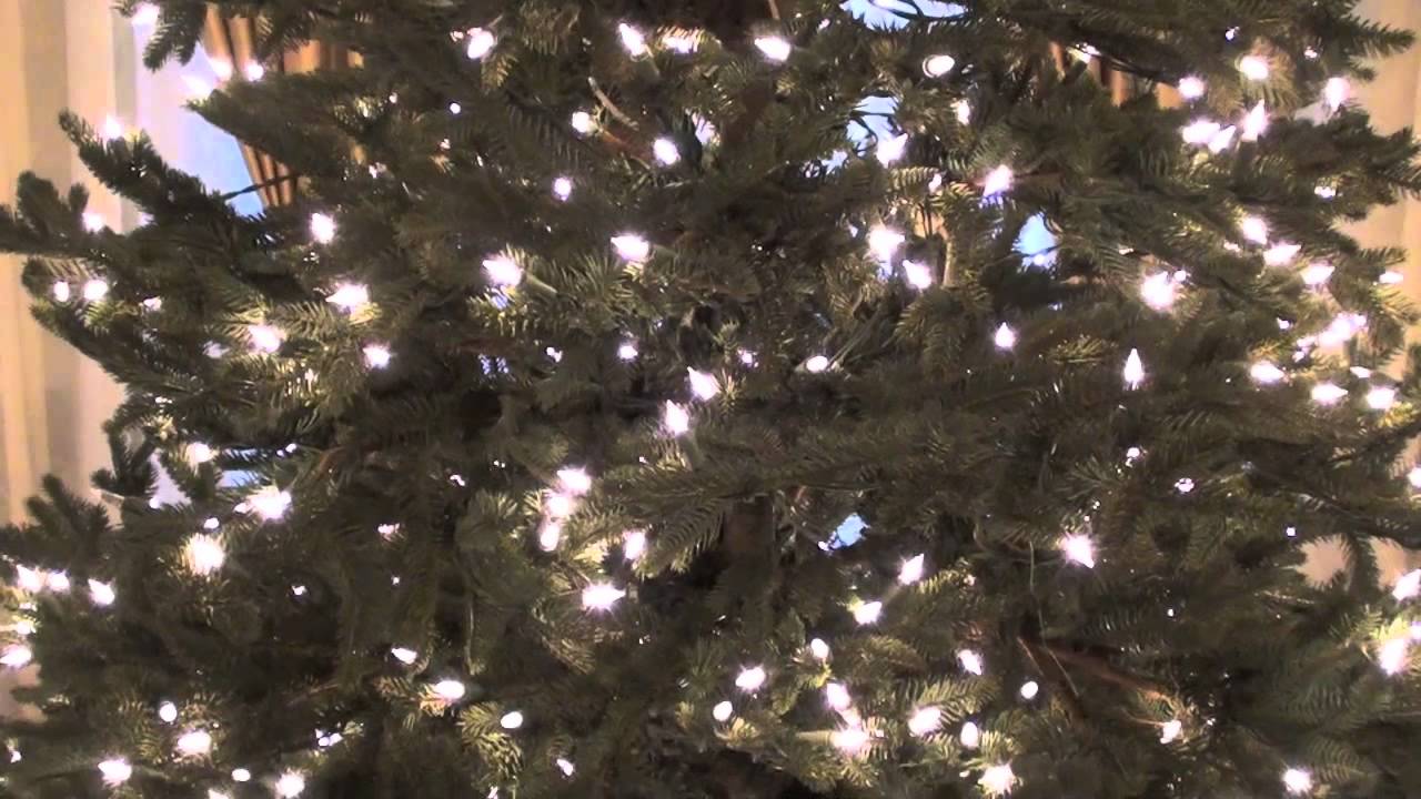Holiday Prep: Trimming the Tree