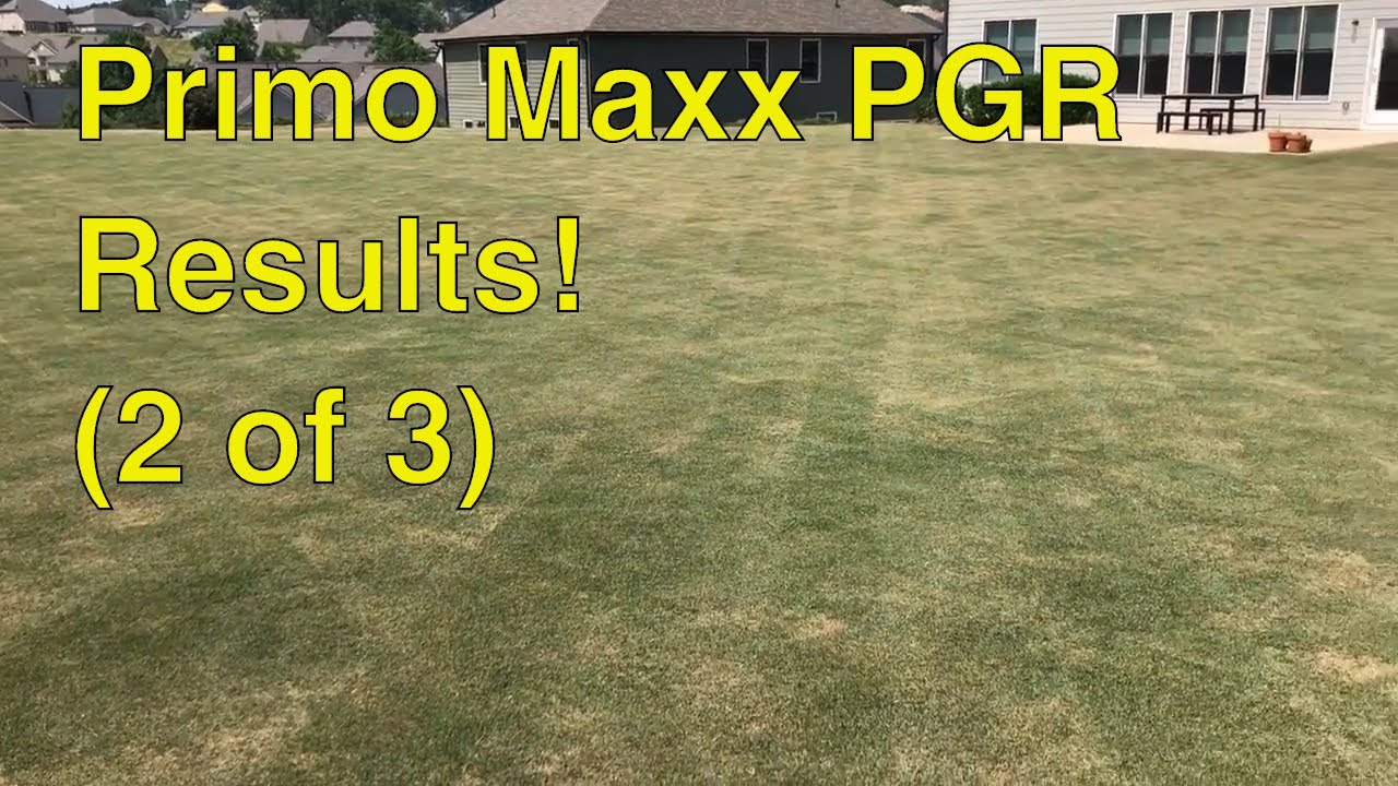 PRIMO MAXX PLANT GROWTH REGULATORS (PGR) RESULTS (2 of 3)