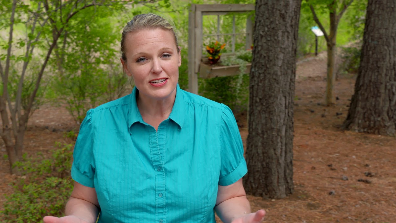 All About Trees on the Best of Oklahoma Gardening (#4523)