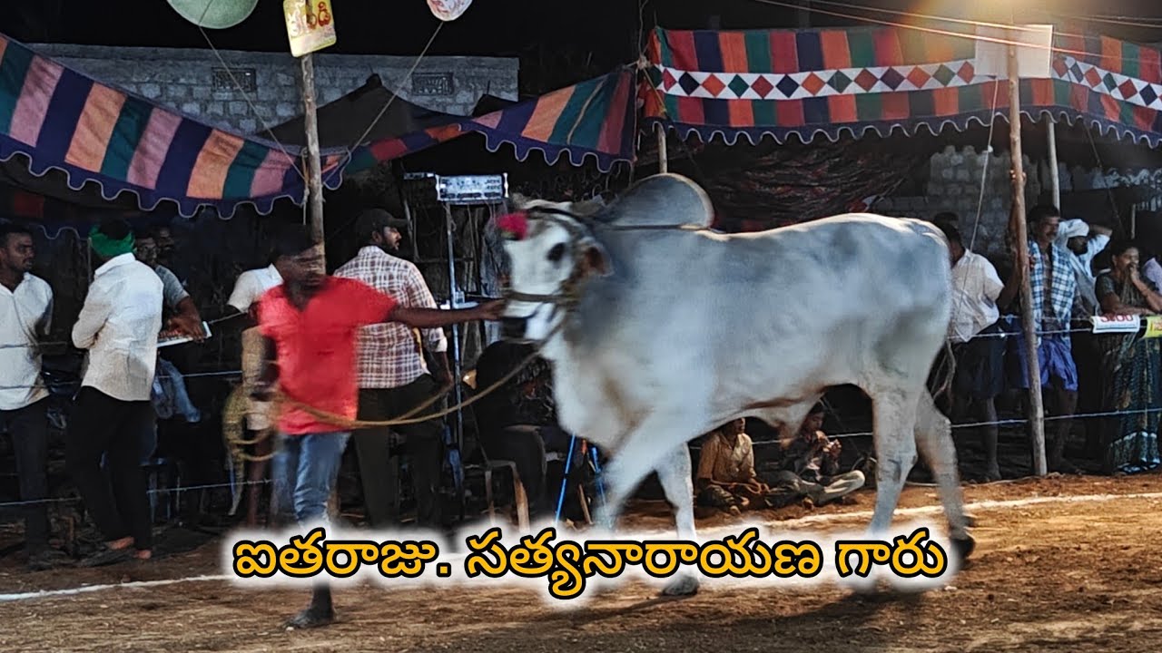 చింత్రియాల సీనియర్స్ 6వ ఐతరాజు. సత్యనారాయణ గారు కొప్పోలు గ్రామం నల్గొండ జిల్లా...