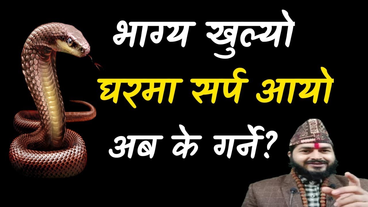 भाग्य खुल्यो घरमा सर्प आयो । अब के गर्ने ?