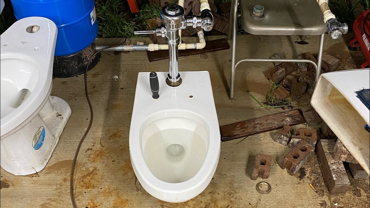 1980 Eljer Aurburn Flushes!
