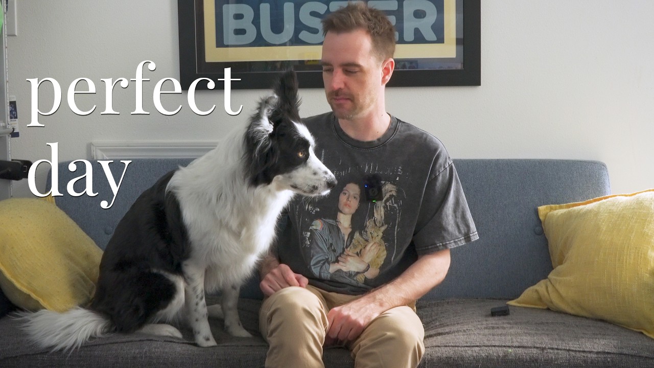 Border Collie Saturday: What we do on the weekend! | Dog Vlog