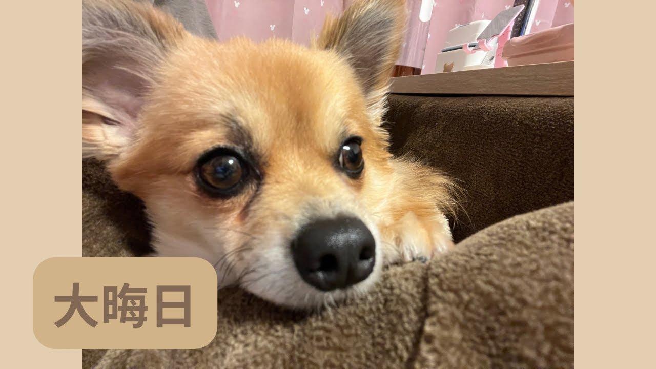 大晦日🔔🌅