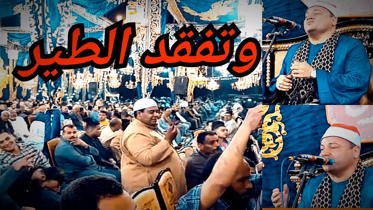 سورة النمل يبهر الجمهور مباشر  الشيخ محمود صابر المحله الكبرى الغربيه 20-5-2023