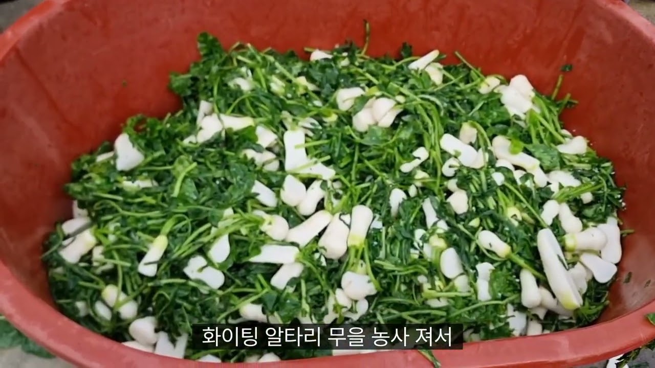 김치만 먹고 살아요~
