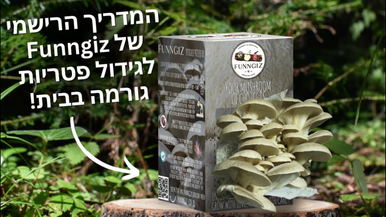 Funngiz Mushroom Grow Kit Instructions | פאנגיז סרטון הדרכה לגידול פטריות