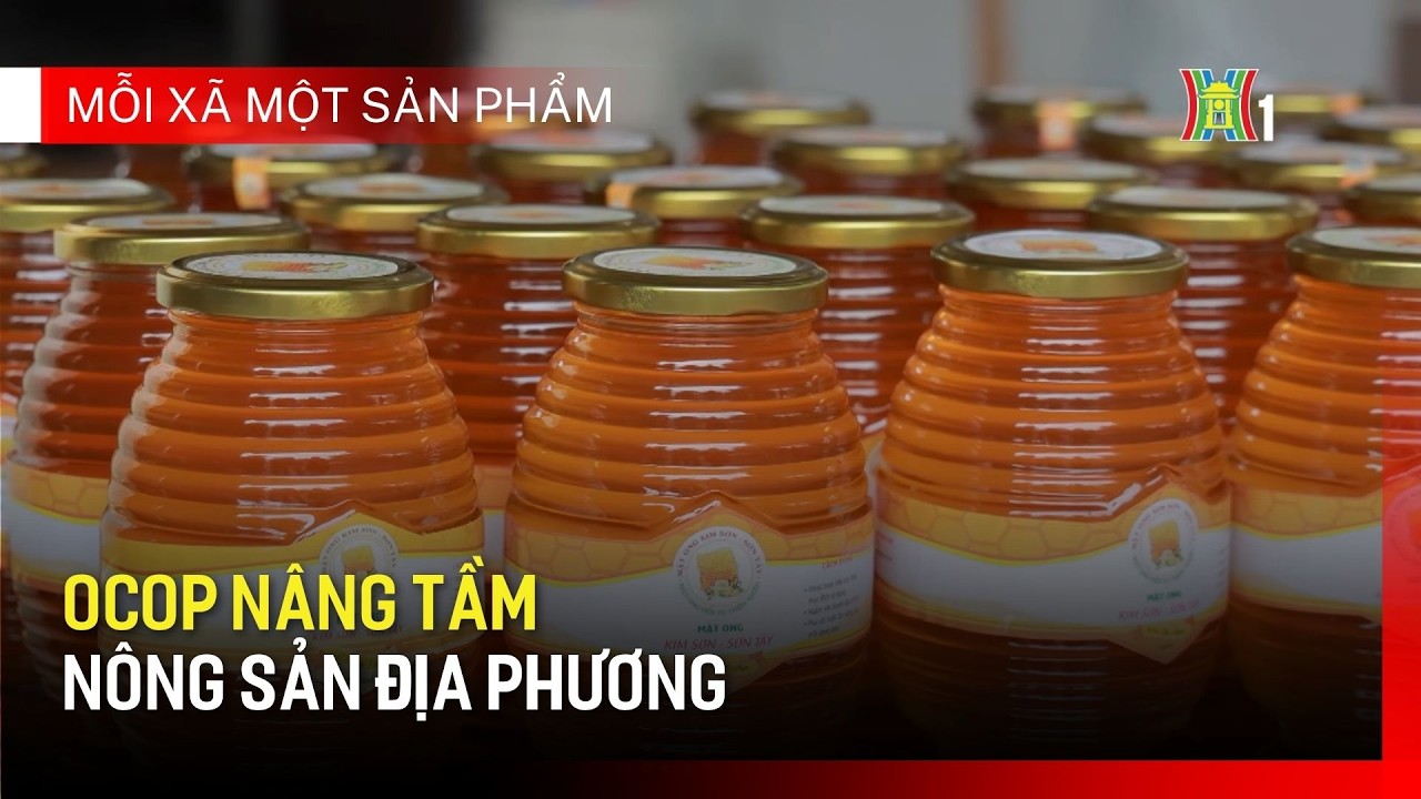 OCOP nâng tầm nông sản địa phương | Mỗi xã một sản phẩm