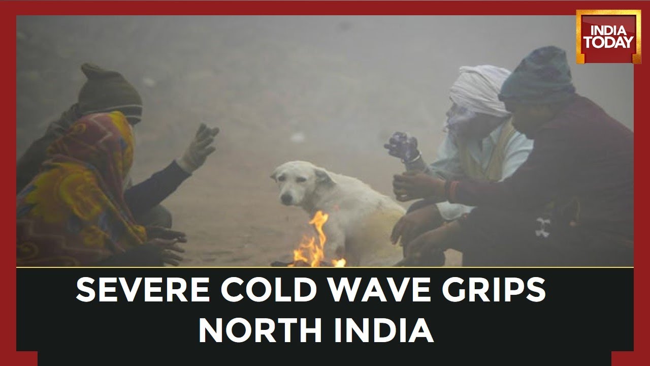 North India Coldwave: Train Services Hit, 7 Dead In Fog-Related Accidents In UP