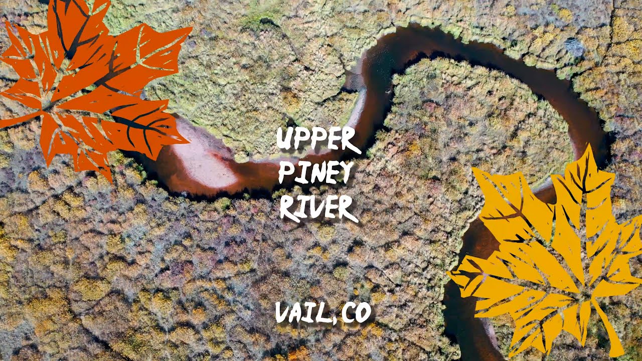 Upper Piney River Fall Trail in 4K (Drone + GoPro)