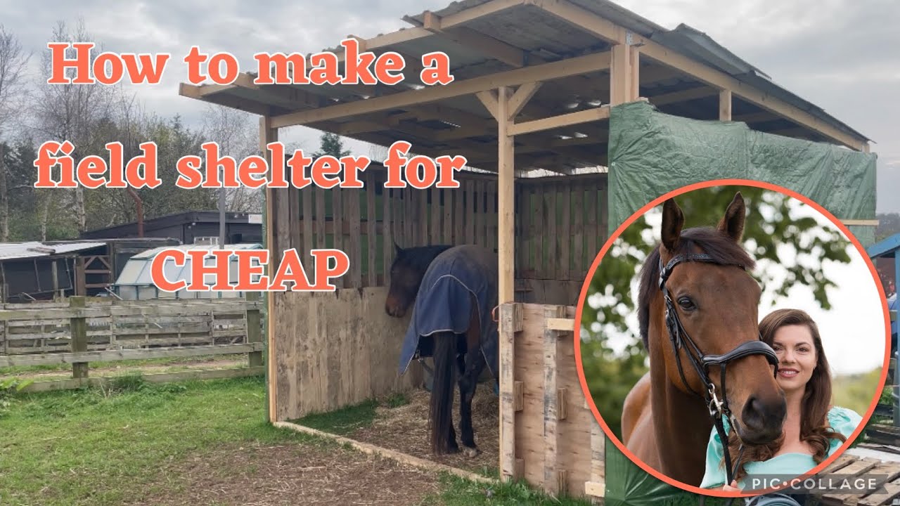 How to make a field shelter for CHEAP