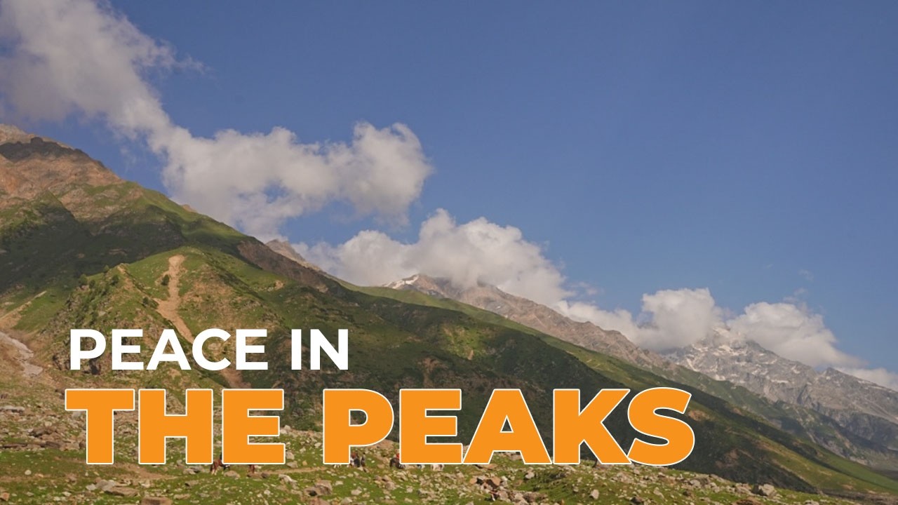 Panoramic Splendor: An Immersive Journey Through Nature's Majesty