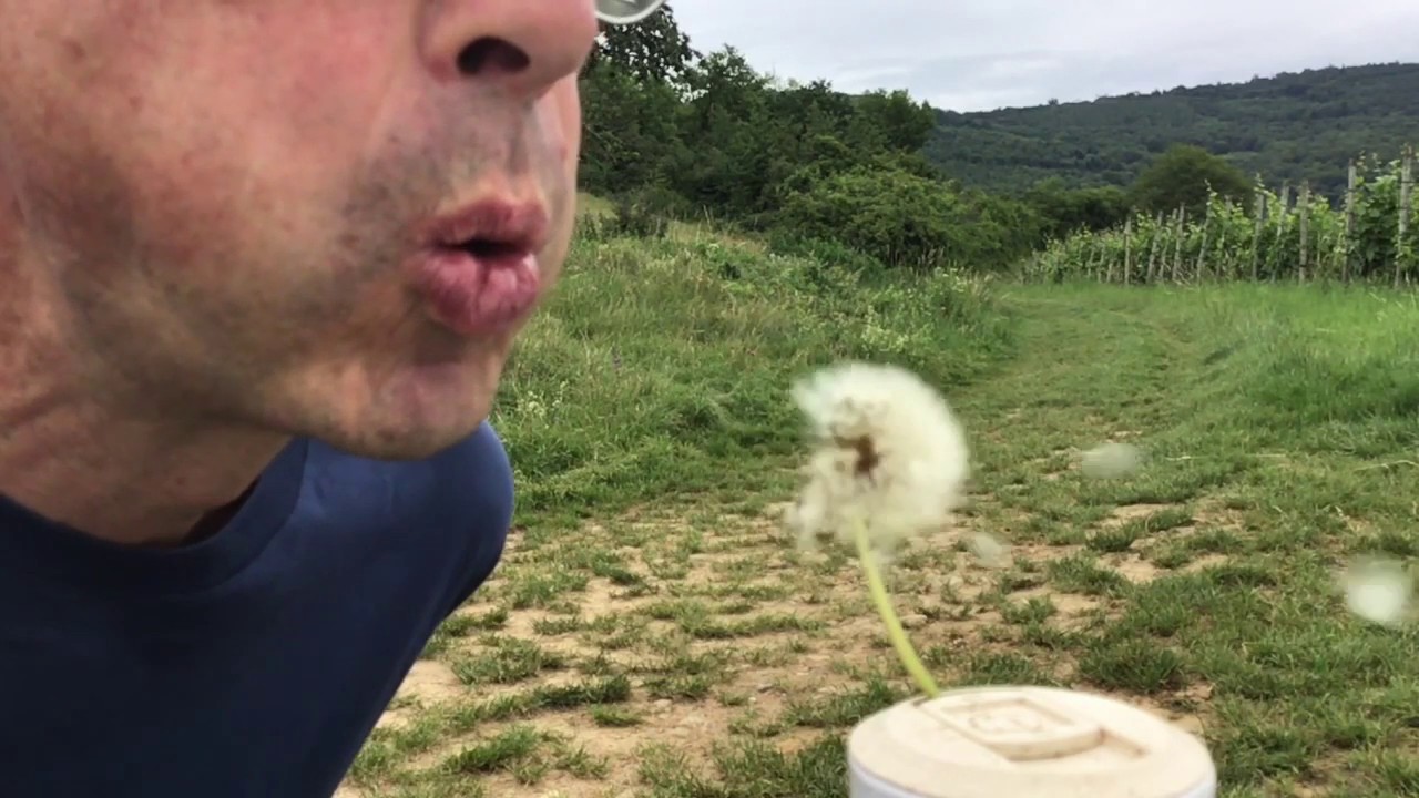 Der thermodynamische Zeitpfeil