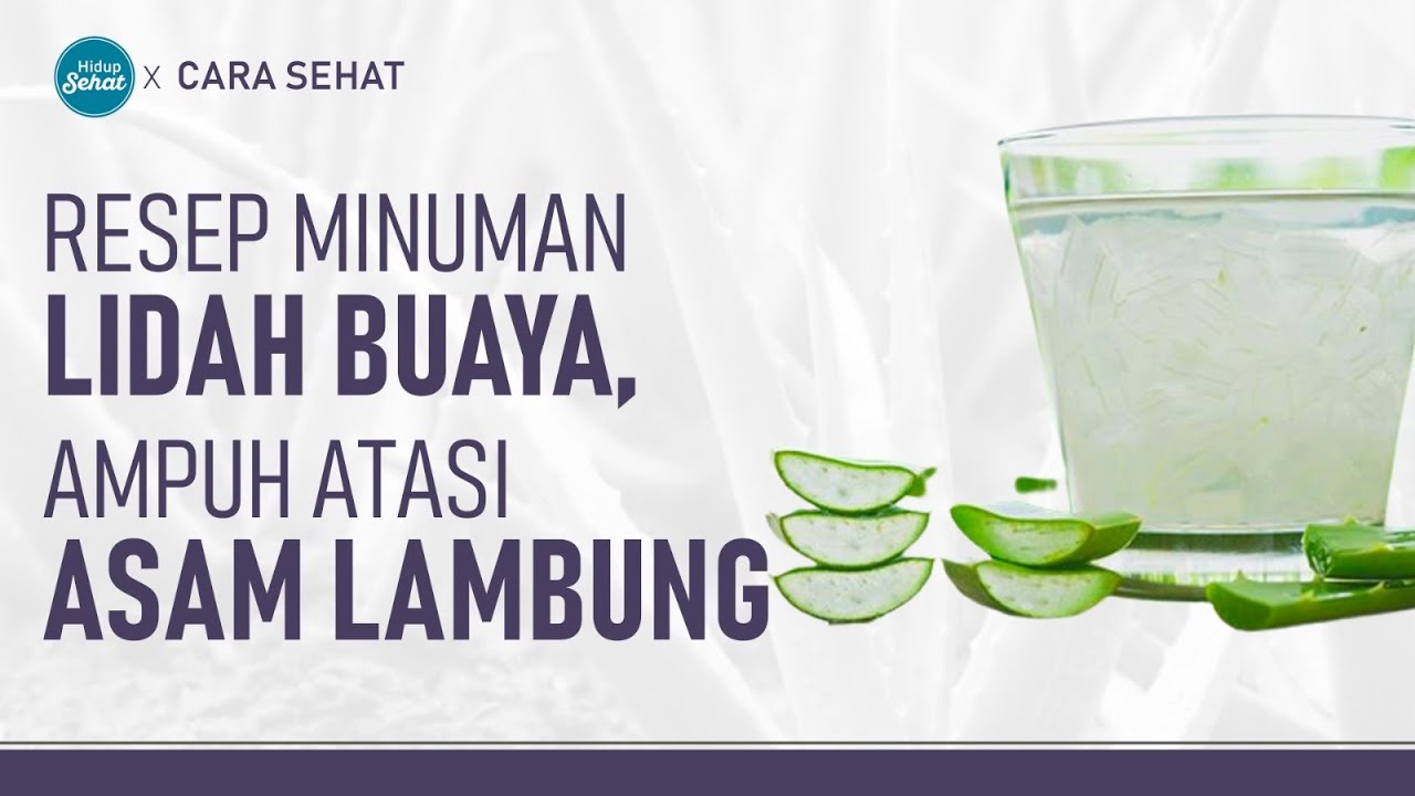 Cara Buat Minuman Lidah Buaya, Ampuh Turunkan Asam Lambung | Hidup Sehat tvOne