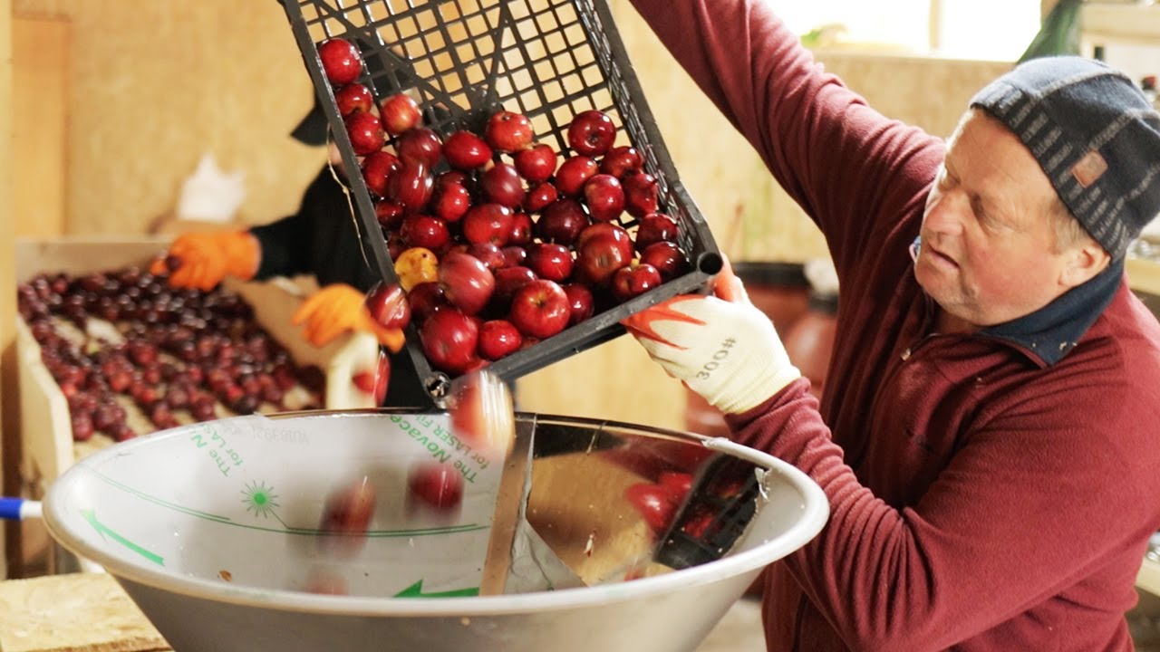 Artisan Apple Juice Making at Family Farm from Romania | Suc de mere