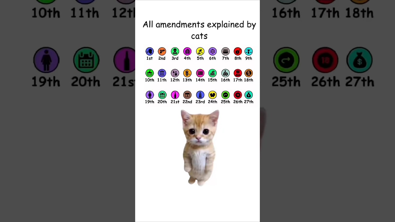 Part 1 | Kitty Explains the Amendments 🐾📜 | Constitution Made Cute & Simple!