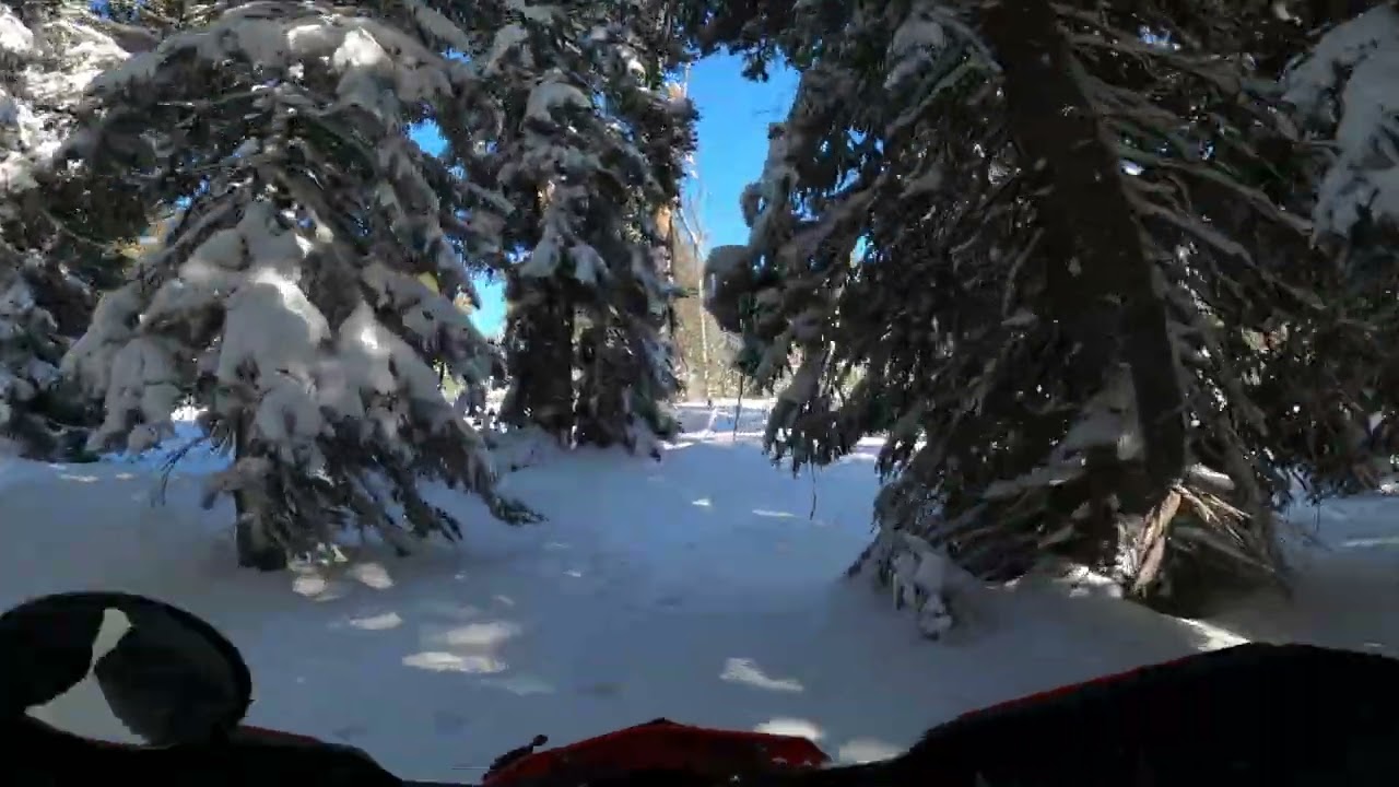 SNOWBIKE 2025/2026 02 22 EMIGRATION MINK CREEK SPRING 4