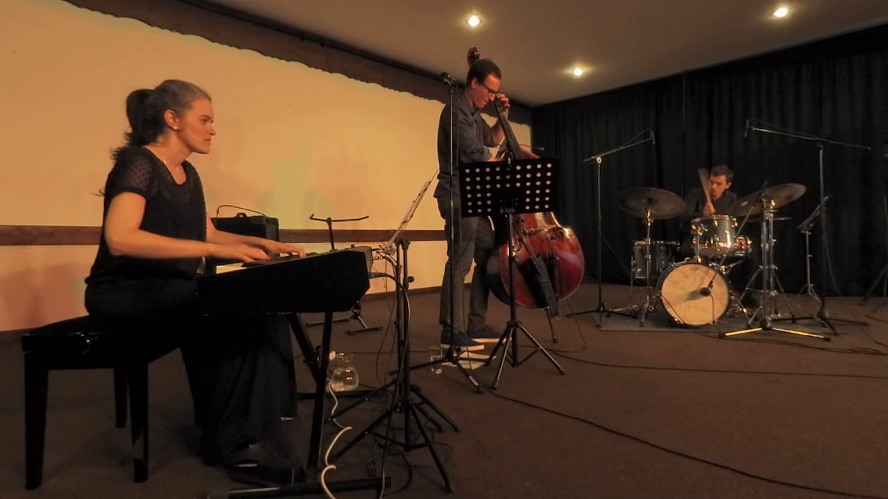 Disturbing Times- L.A. Trio