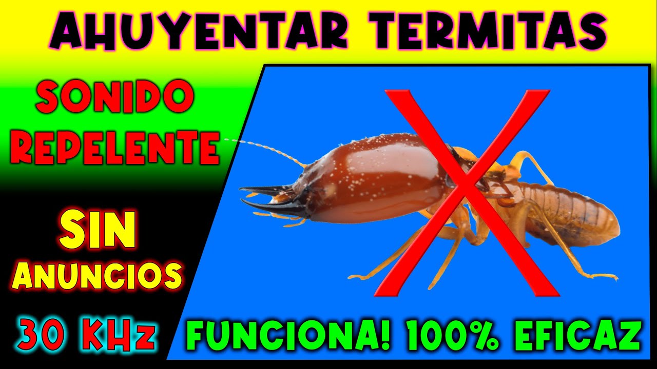 SONIDO PARA AHUYENTAR TERMITAS 🚫🐜 REPELENTE DE TERMITAS