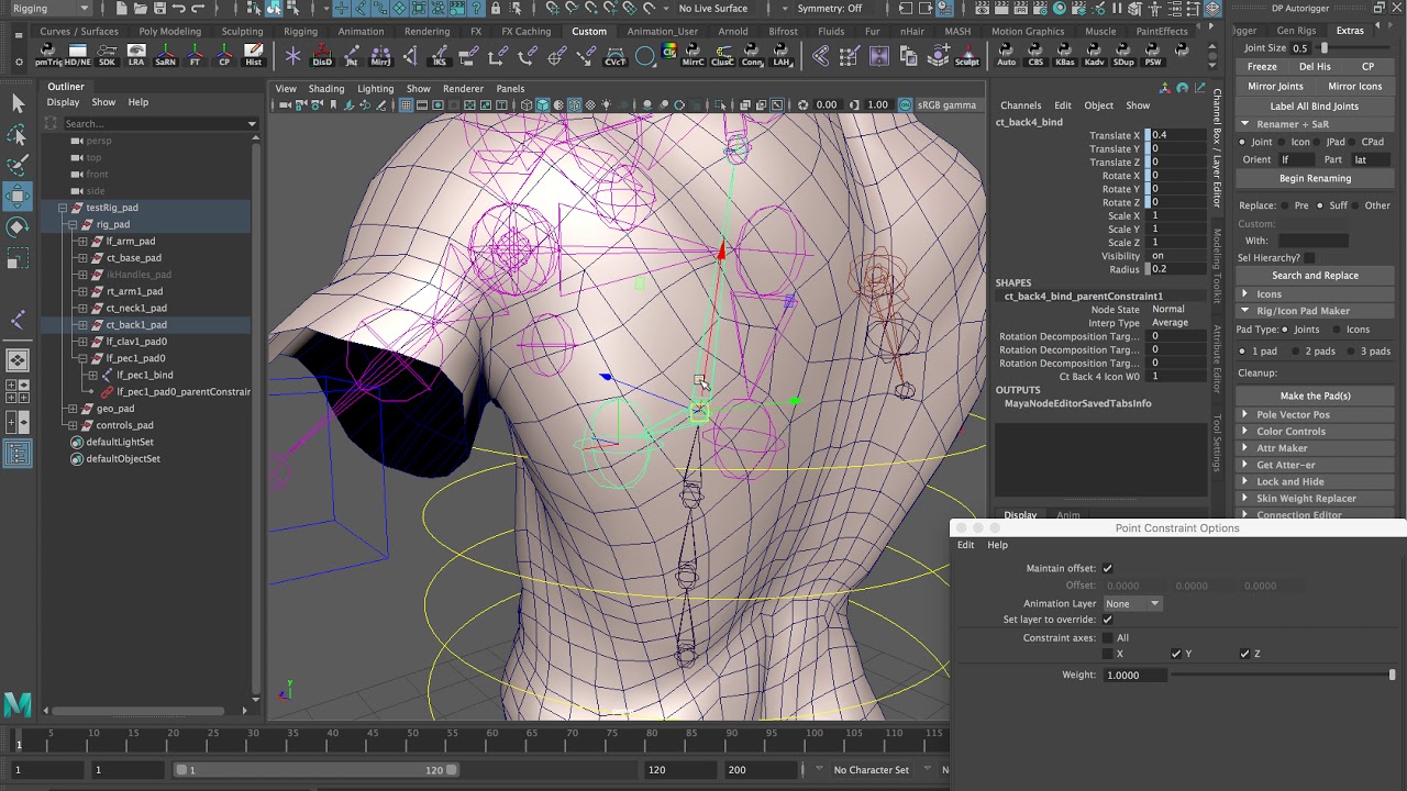 Advanced Shoulder/Clavicle Tutorial Using Aim Constraints