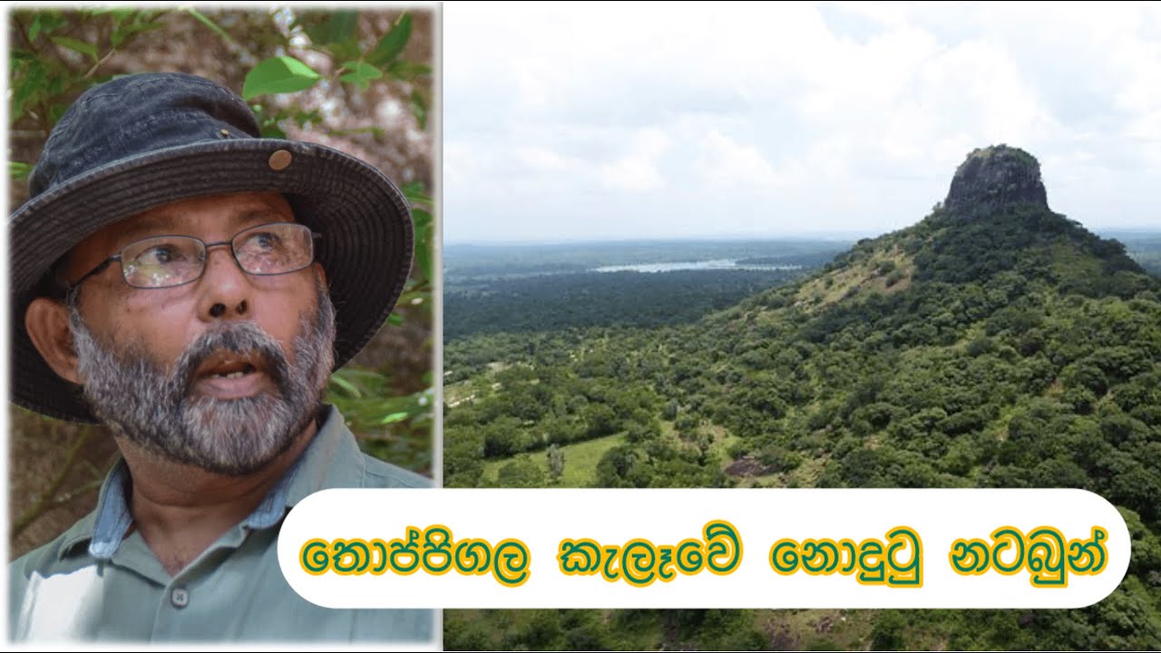 තොප්පිගල කැලෑවේ නොදුටු නටබුන් - Unseen Ruins in Thoppigala Forest