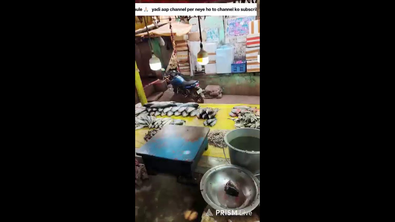 Live streaming of kunu fish cutting