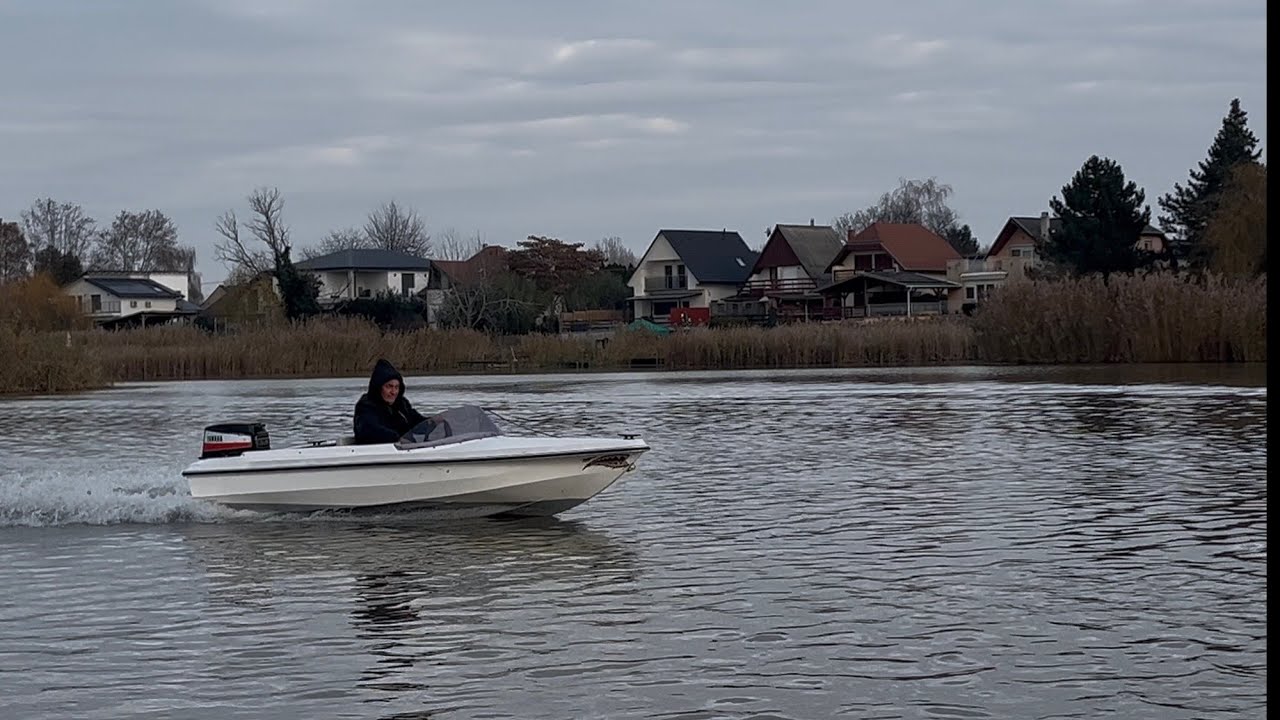 Delfin 350 Yamaha AE20