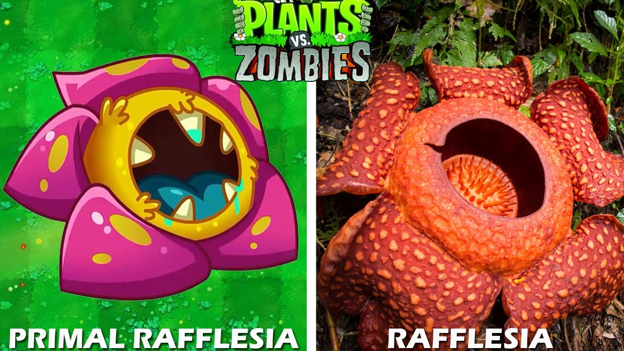 Plants Vs Zombies 1&2 All Characters in Real Life Compilations